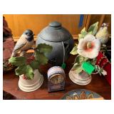 Boehm black capped chicadee and yellow throated warbler