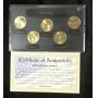 Coin Collectors auction
