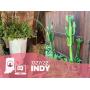 Home Accents, Live Plants, Everyday Items And More In Indy: It All Has To Go!