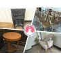 Balmoral House Exclusive Auction: Decor & Event Must-Haves in Fishers