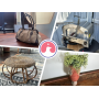 Vintage Finds and Cozy Touches: Noblesville Must See Auction!