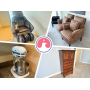 Downsizing Online Auction in Lake Stonebridge of Fishers: Furniture, Home Accents and More!