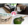 MultiMillion Dollar Estate Auction Williams Creek, Indy High End Furniture, Decor, So Much More