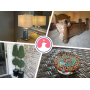 Carmel Downsizing Sale Everything Must Go