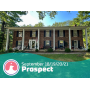 Big Four Day Estate Sale Event in Prospect Presented by Aether