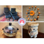North Indy Estate Auction - MCM Furniture, Decor, Antiques and More