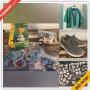 Street Petersburg Downsizing Online Auction - 32nd Avenue N