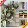 Castro Valley Estate Sale Online Auction - Redwood Road