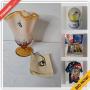 Riverview Downsizing Online Auction - Holly Heath Drive