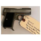 AMT Back Up Stainless 9mm 