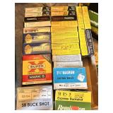 9 mm Luger ammo