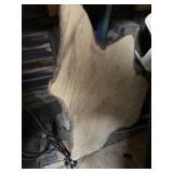 live edge slabs