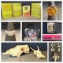 Bidders Bonanza 2- A Collective Online Auction - Bidding ends 4/27