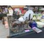 OUTSTANDING ANTIQUE ESTATE ONLINE AUCTION FRIDAY JUNE 13TH 7:00 PM