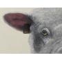 Art Lovers Online Auction - This One is FOR YOU!