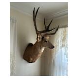 Estate Tag Sale & Auction