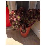 Estate Sale in Sunlakes Country Club