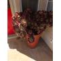 Estate Sale in Sunlakes Country Club