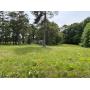Public Auction Home on 2.4 acres