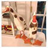 wood ducks