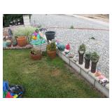 Plants 
