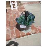 Planter $10
