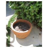 Pot $10