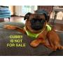 Southampton Estate Sale - 2 Days