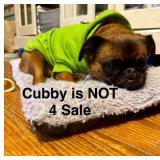 ESTATE OF BELOVED FORMER  CHERRY HILL MAYOR