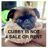 Estate Sale Beautiful Home in Hainesport