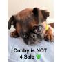 Laurel Springs Estate Sale -2 Days - Our Final Sale!
