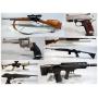 Spring Loaded Firearm And Sportsman Auction