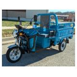 2025 IRET13 Electric Tricycle, Unused 