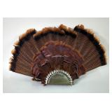 Turkey Feather Display 