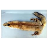 Full Red Fox Pelt, 45" Long 
