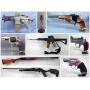 Precision & Power Firearm And Sportsman Auction