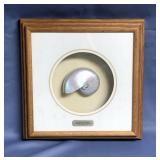 Pearlized Nautilus Framed Specimen Shell 