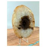 Polished Brazilian Agate Slice, 5.25' x 3.5' Polished Brazilian Agate Slice, 5.25' x 3.5'