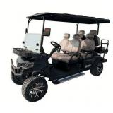 SDLanch SDLGC100 Golf Cart 
