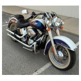 2010 Harley-Davidson FLSTN Softail Deluxe Motorcycle - VIN: 1HD1JD513AB036912