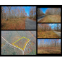 ONLINE BANKRUPTCY AUCTION - 5.4 Ac WOODED TRACT (BUCK CREEK ESTATES)