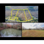 ONLINE COURT ORDERED AUCTION - 25 Ac (3 TRACTS), MOBILE HOME, STRUCTURES & PONDS