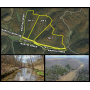 ONLINE ABSOLUTE AUCTION - 178 Ac (5 TRACTS), CREEK, TIMBER
