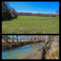 39 Ac, BARNS, CREEK (2 TRACTS) - ONLINE COURT ORDERED AUCTION