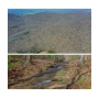 105 Ac WOODED TRACT - SELLING at ONLINE ABSOLUTE AUCTION