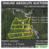 Online Absolute Auction: 36.45 Ac in 3 Tracts