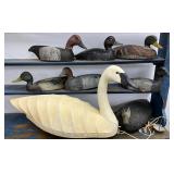 Swan and Duck Decoys