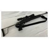 Ruger Mini-14 Semi-Automatic Rifle with Folding Stock and Scope