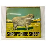 Nice DS Metal Advertising Sign Featuring Shropshire Sheep, 48x44 
