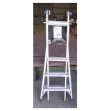 Werner Multi-Ladder